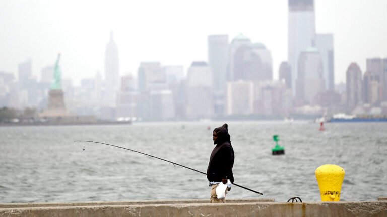 Zum ersten Mal seit 50 Jahren wird der Verzehr bestimmter Fische aus dem Hudson River als unbedenklich eingestuft